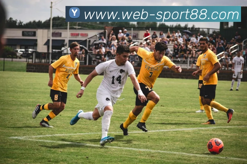 88体育发展历程